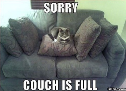 Egy macska egyedül elfoglalta a kanapét. Botrány!