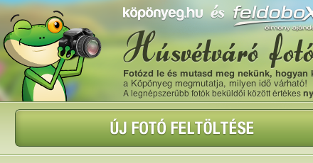 Köpönyeg - Húsvétváró fotóverseny Facebook-app