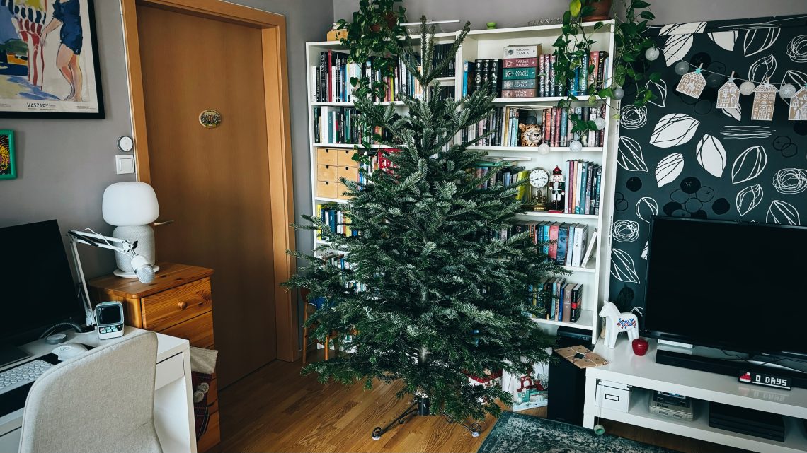 Natúr karácsonyfa, díszek nélkül