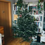 Natúr karácsonyfa, díszek nélkül